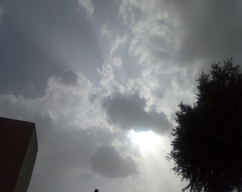 weather alert news- rain in bikaner