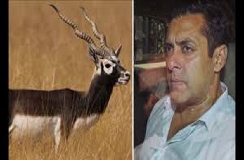 बढ़ सकती हैं सलमान की मुश्किलें, सरकार की ओर से दो और अपीलें पेश