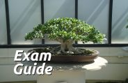 Education, interview, exam, online test, rojgar samachar, interview tips, online exam, Mock Test, general knowledge, GK, interview questions, jobs in hindi, rojgar, competition exam, mock test paper, sarkari job, questions Answers, GK mock test, Exam Guide, General Science Questions, Questions and answers, common general knowledge questions and answers, common general knowledge questions and answers