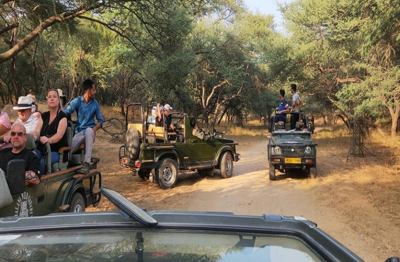 अब कई तरह के टूर पैकेज का हब पिंकसिटी