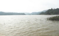 Reservoirs increased, engineers decreased