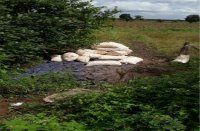 ujjain news,warehouse,ujjain crime news,chori,ujjain hindi nwes,