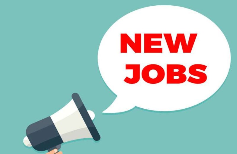 IBPS Clerk recruitment 2020