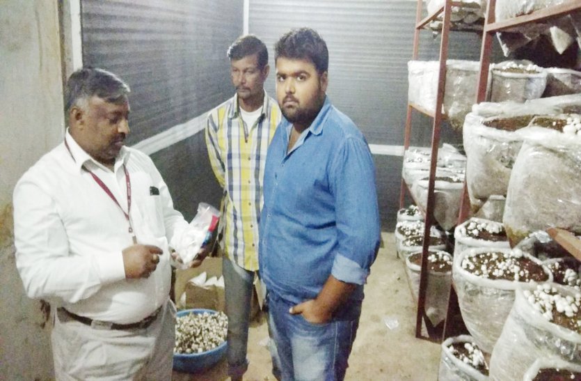 Young farmer earning profits from mushroom cultivation