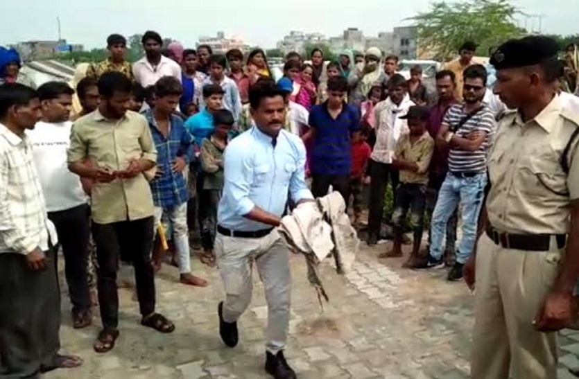 Dog put on Newborn Baby