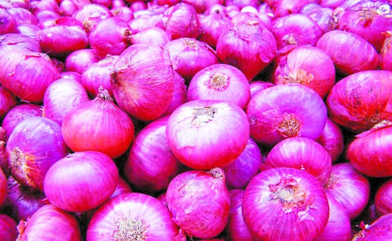 प्याज निर्यात पर रोक, इस जिले में गिरे 500 रुपए प्रति क्विंटल दाम