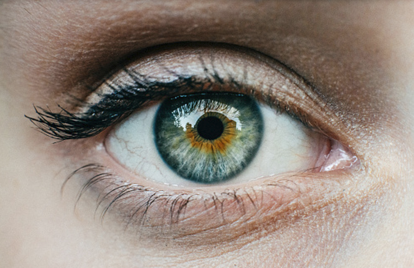 CRADLE app: Detect Early Signs Of Various Eye Disease