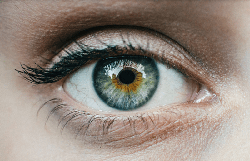 CRADLE app: Detect Early Signs Of Various Eye Disease