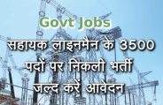 Assistant Lineman Recruitment 2019