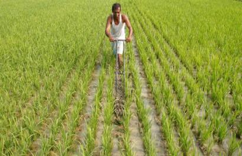 ठग कम्पनी : युवक को नौकरी देकर गरीब किसानों को बनाया निशाना