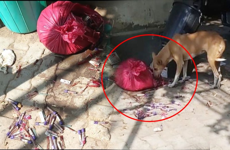 Exclusive: राजस्थान के इस बड़े सरकारी अस्पताल में मरीजों का खून पीकर खूंखार हो रहे कुत्ते !