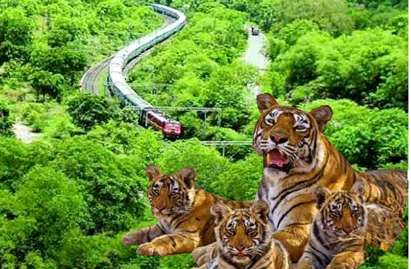 Mukandra Hills Tiger Reserve