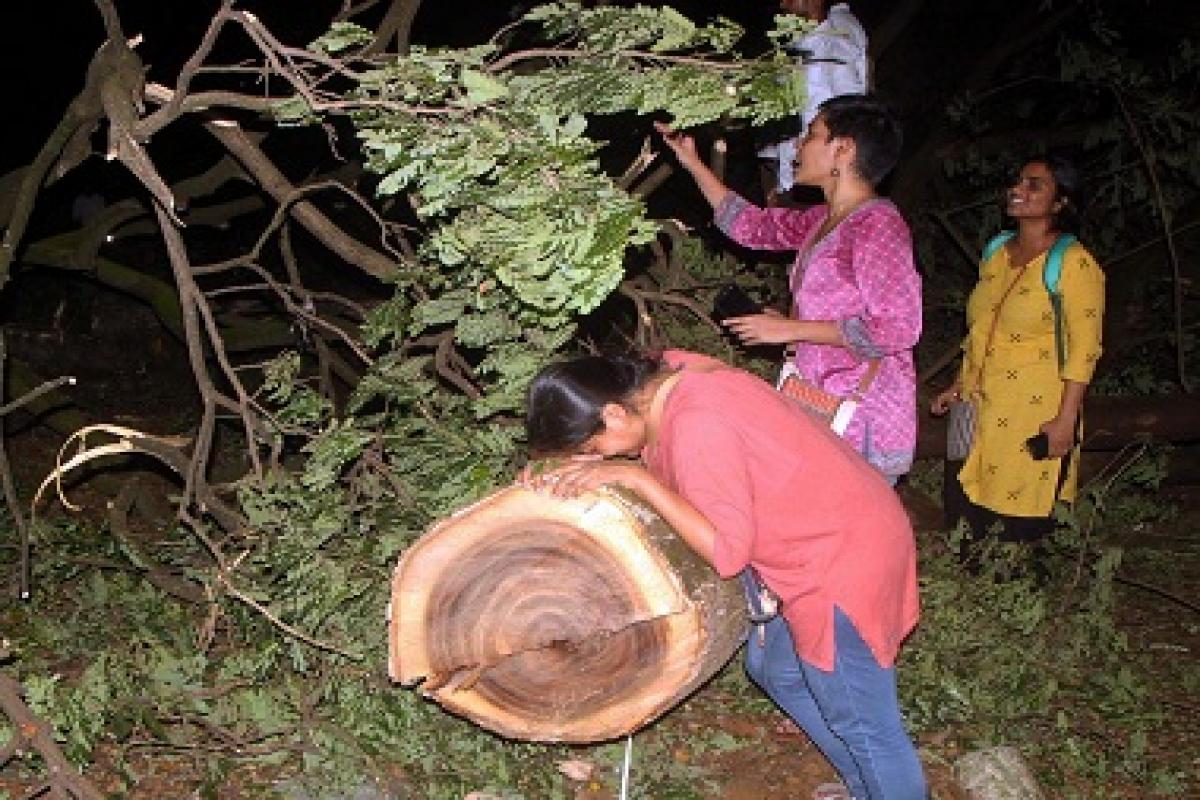 Mumbai Tree Felling Protests