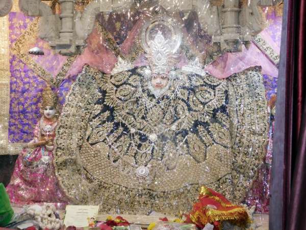 The queues of devotees in the court of Mata Rani to offer the eighth d