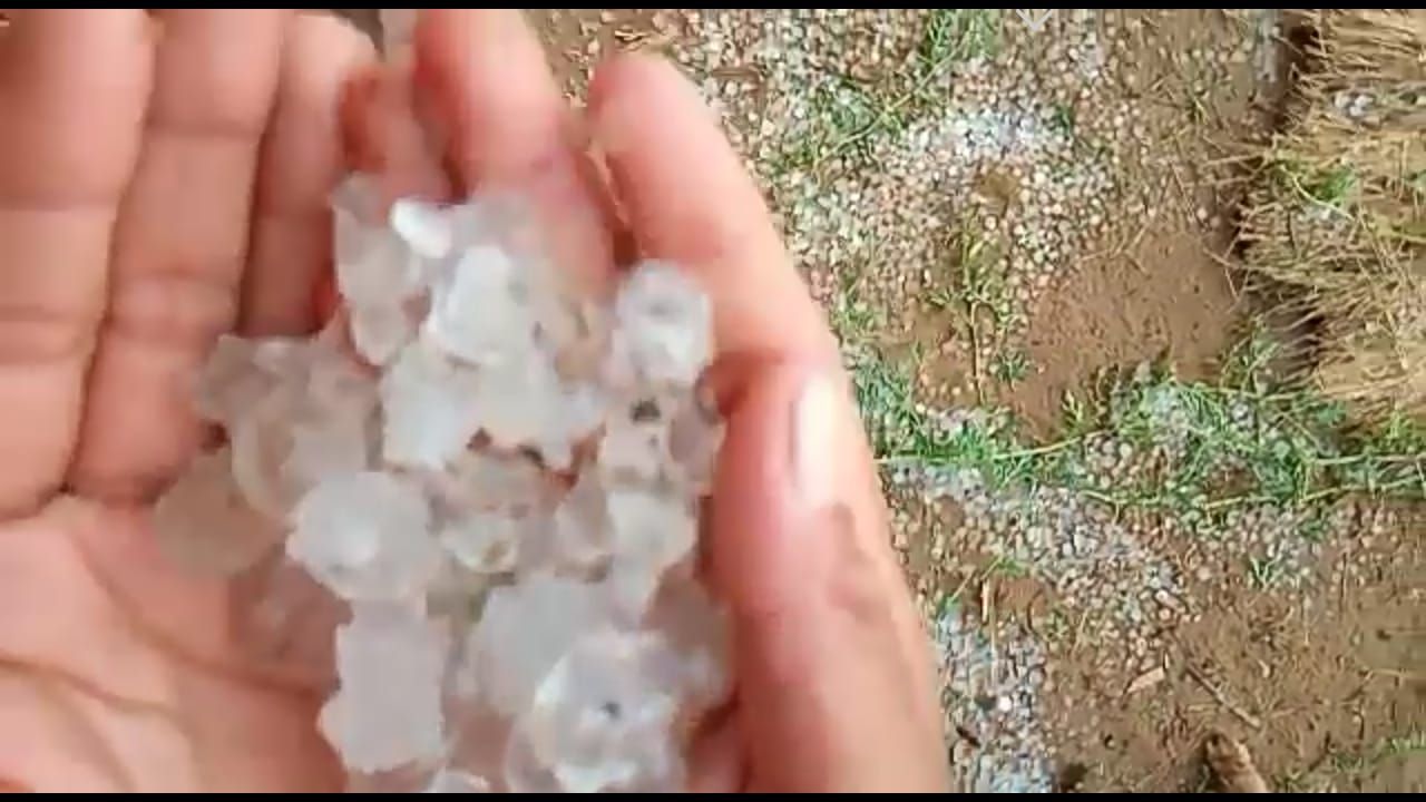 किसानों के साथ बुरा हुआ, अंधड़,बारिश,ओलावृष्टि से फसलों को नुकसान