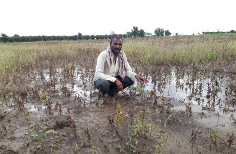 Farmers cry after seeing the crop standing in the fields