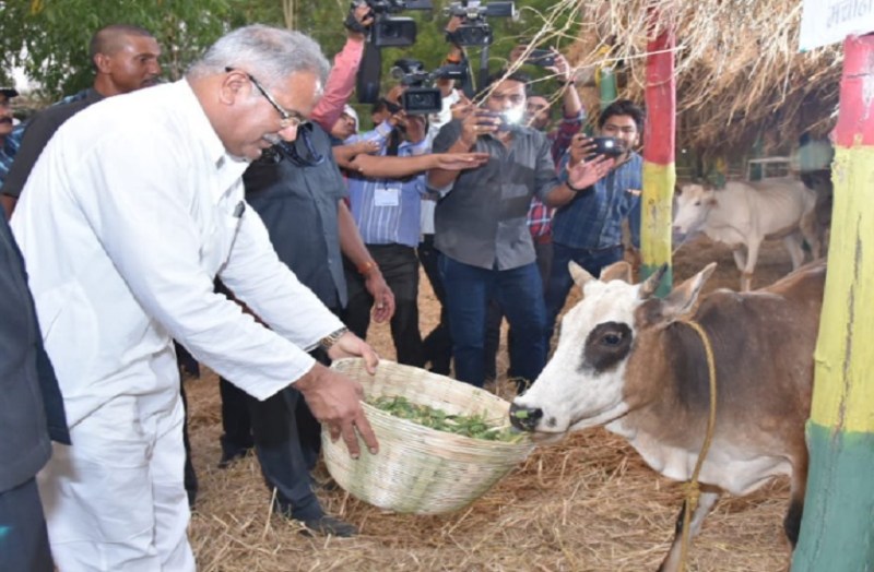 छत्तीसगढ़ के मुख्यमंत्री भूपेश बघेल ने किया ऐलान, गोवर्धन पूजा को मनाएंगे इस रूप में
