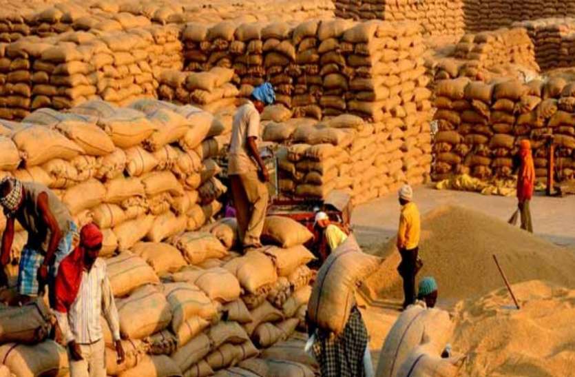 minimum-support-price-2019-rabi-crops-rajasthan-government