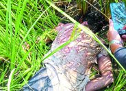 Uncle murdered in a land dispute on amarpatan