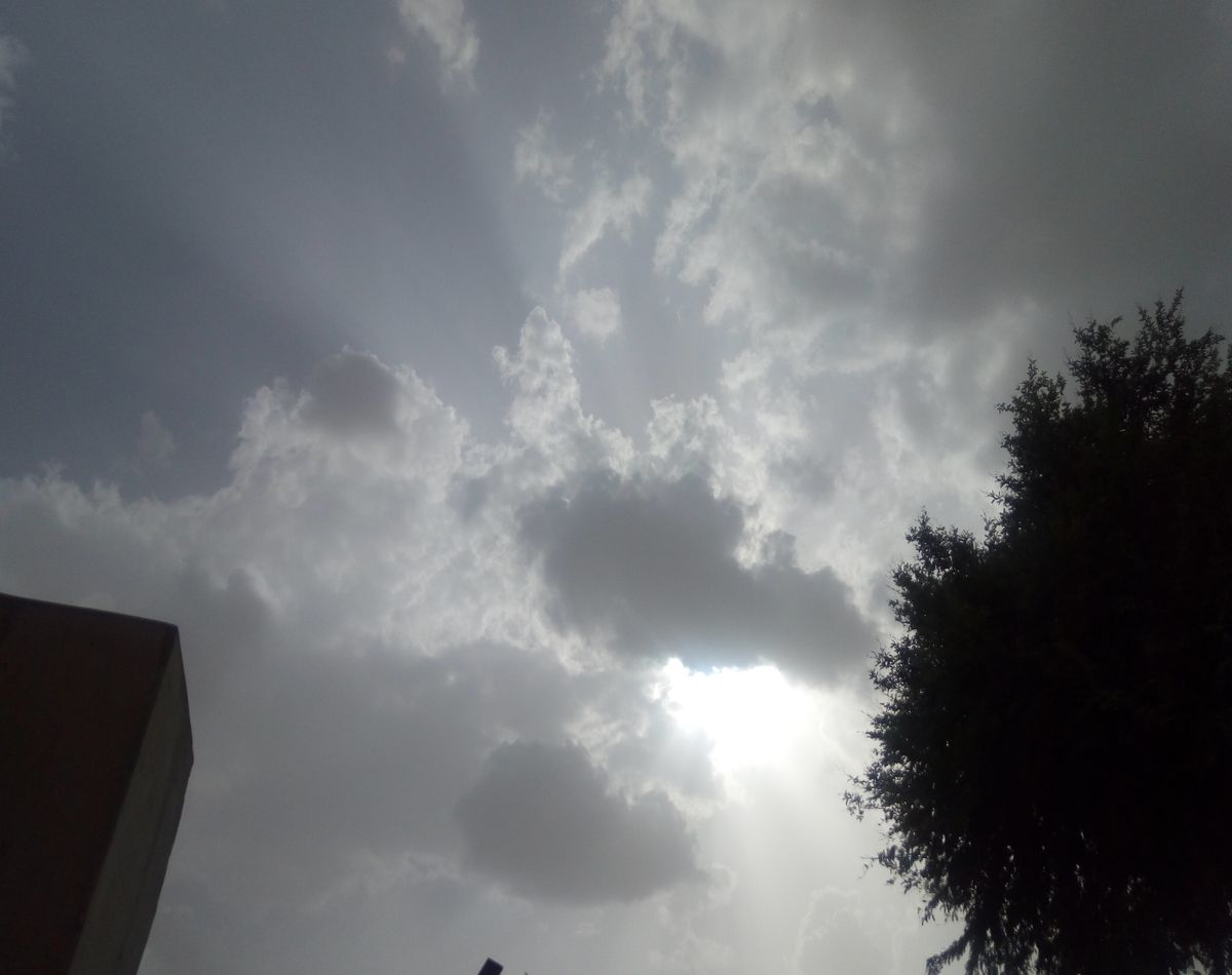 weather change in bikaner