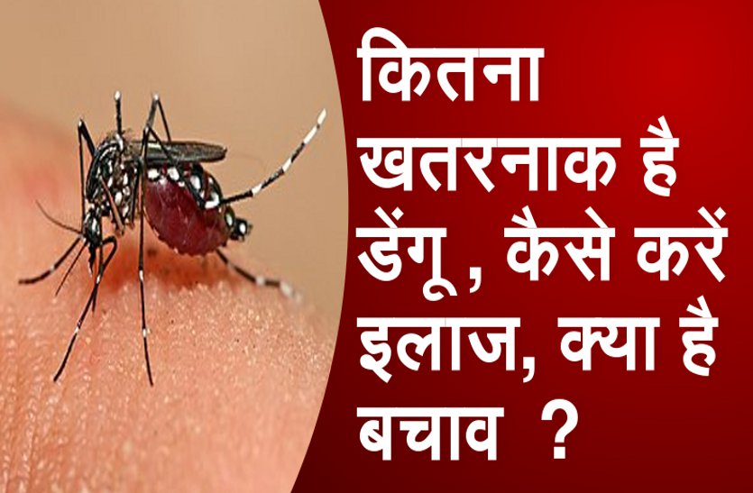 90 dengue patients found in seven days in Bhopal