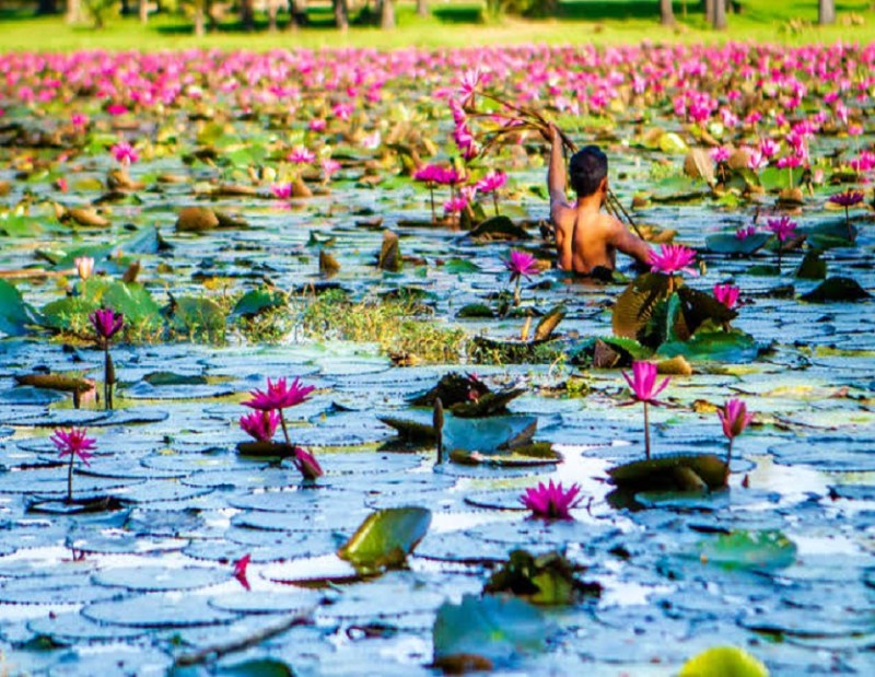 फूल तोडऩे की मिली ऐसी सजा कि तौबा कर बैठे...