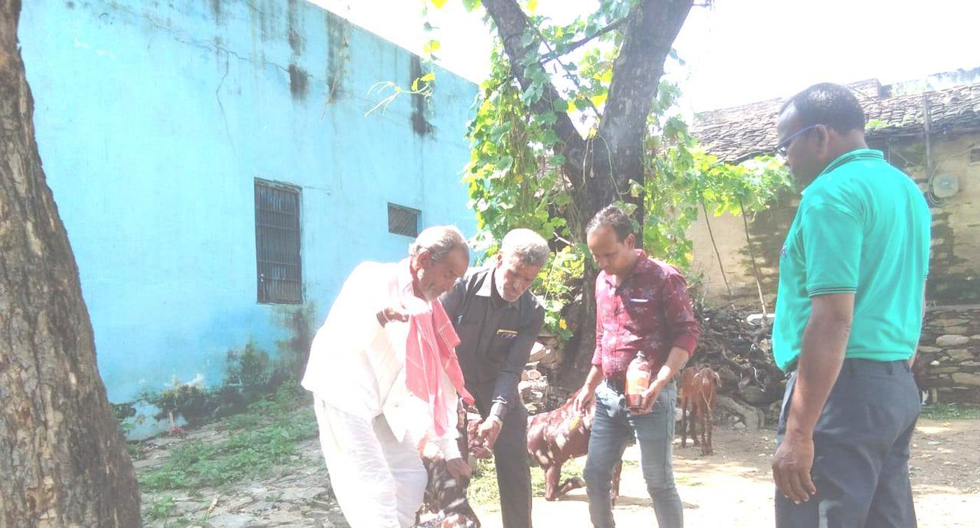 Veterinary team arrived in village