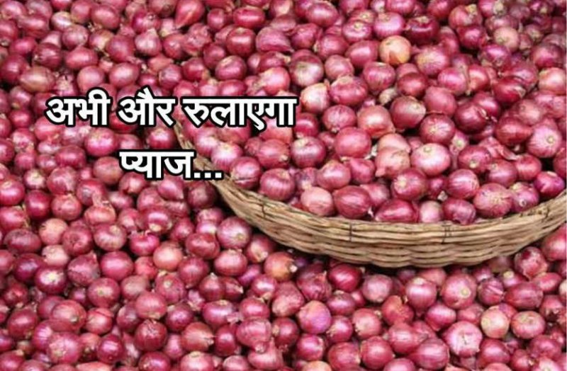 onion prices gwalior at madhya pradesh rate