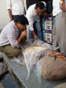 मिलावट के संदेह में 280 किग्रा मावा पकड़ा