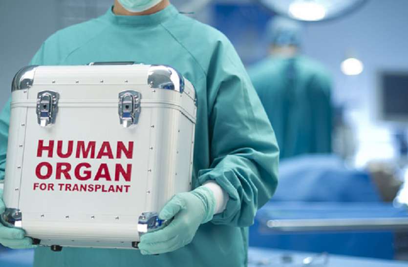 human organ donation in madhya pradesh