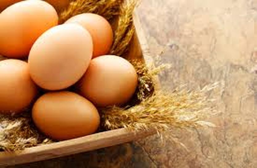 world egg day : कुपोषण  के खात्मे के लिए संडे हो या मंडे रोज खाएं अंडे