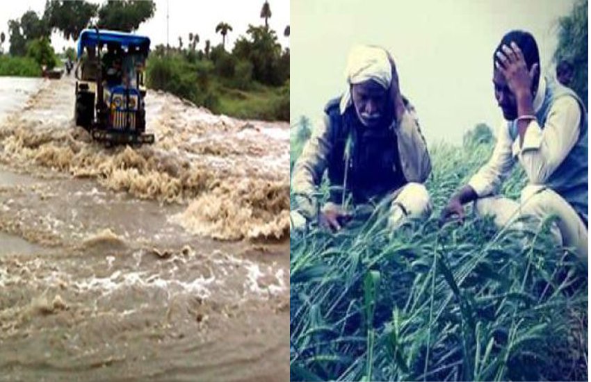 बारिश ने इंदौर जिले में तोड़े रिकॉर्ड, किसानों को हुआ इतना नुकसान, सबसे ज्यादा बारिश देपालपुर में
