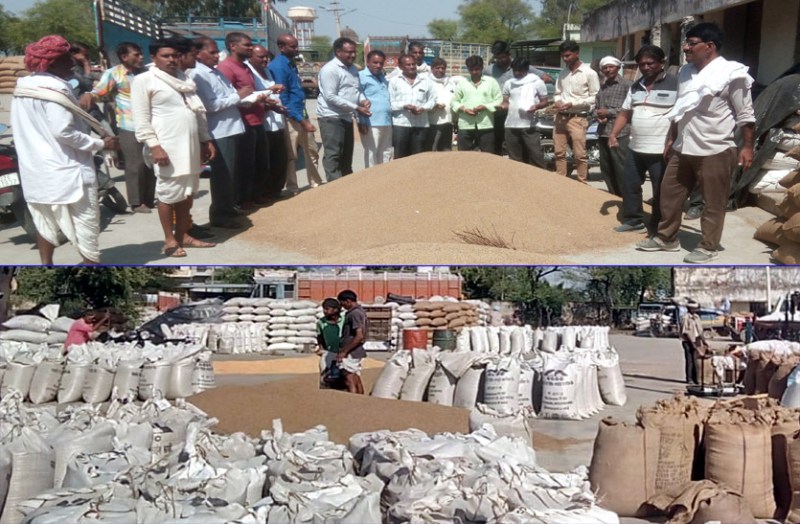 मालपुरा में कर्फ्यू से टोड़ारायसिंह गौण कृषि मण्डी में रौनक बढ़ी, कृषि जिंसों से की हो रही बम्पर आवक