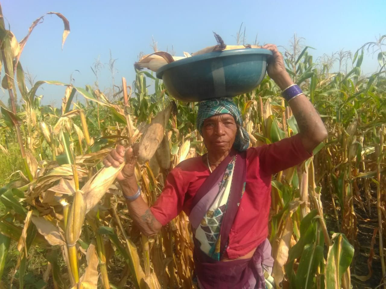 Amha Tola's tribal women farmers are not less than men
