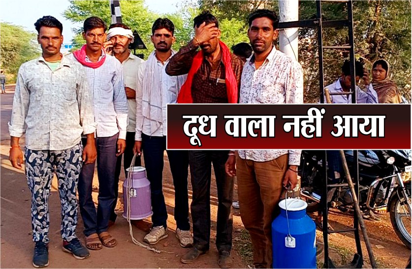 milk man stop milk supply in shivpuri district demand for prize hike