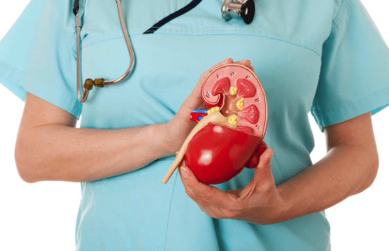 Myths and Facts about Kidney Diseases
