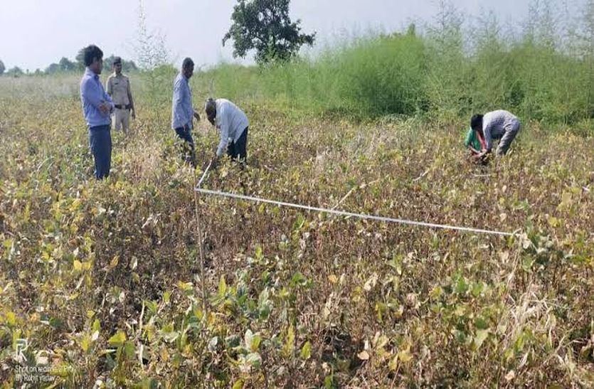 5800 crop harvesting experiment in bhilwara