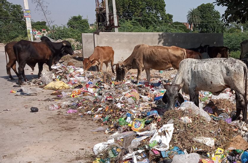 Nagarparishad Beawar : डिपो पड़ा है खाली, बाहर पसर रहा कचरा