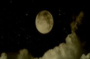 sharad_purnima1.jpg