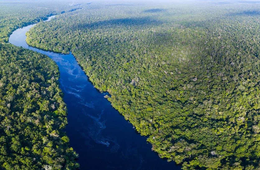 क्या अमेजन के वर्षावन वास्तव में दुनिया की कुल ऑक्सीजन का 20 फीसदी देते हैं