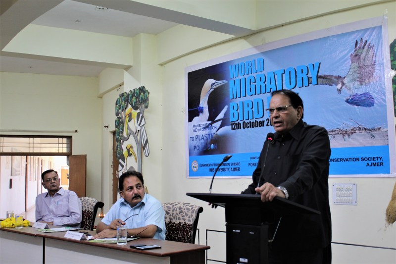 migratory birds in ajmer