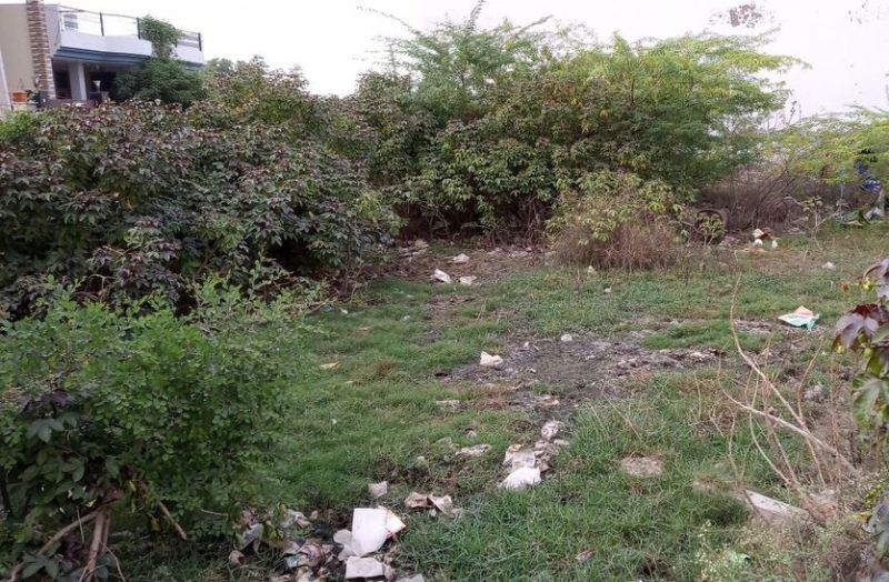 सड़क न नाली, भूखंडों में भरा पानी