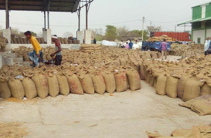 Good News farmers minimum Support Price Rajasthan moong urad groundnut