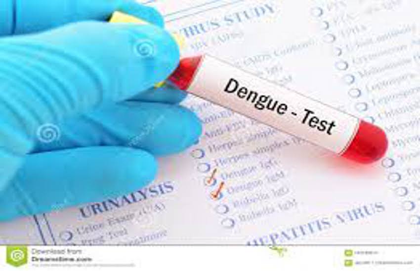 Gujarat : राज्य में डेंगू के मरीजों में कमी होने का दावा
