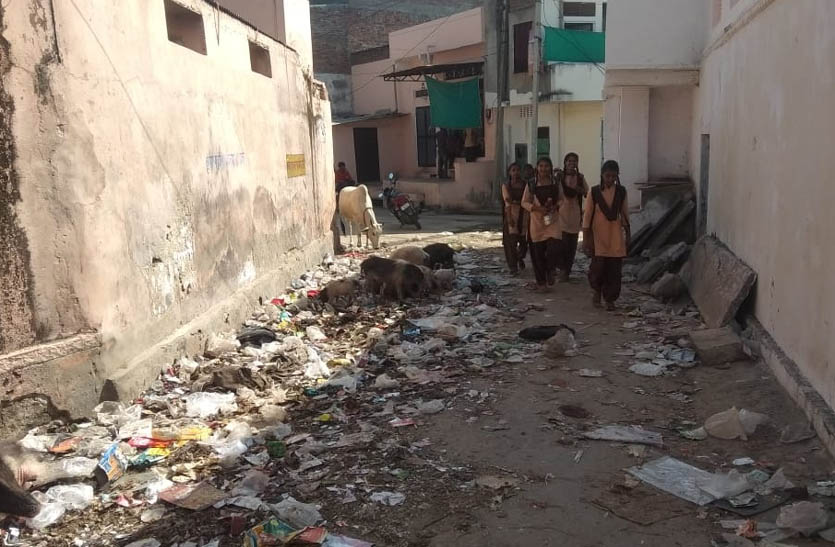 गली-मोहल्लों में लगे गंदगी व कचरे के ढेर, 18 वें दिन भी जारी रही सफाई कर्मियों की हड़ताल