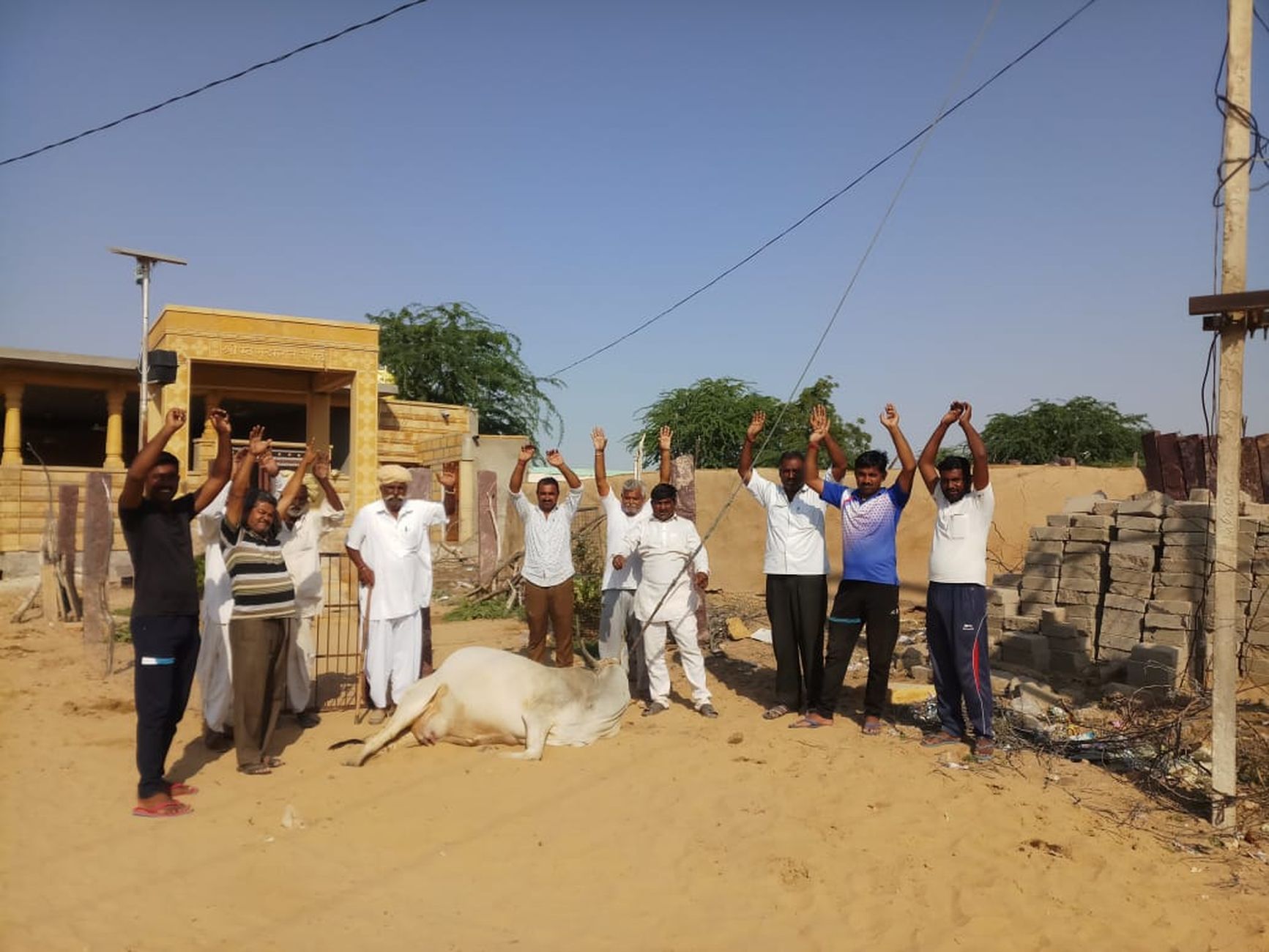 Cow died due to current,villagers protest in lathi,jaisalmer,Cow died due to current,villagers protest in lathi,jaisalmer