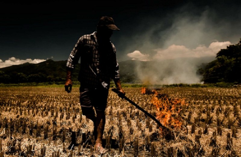 चुनावी दौर में पराली के धुएं से मूंह छिपा रहे नेता