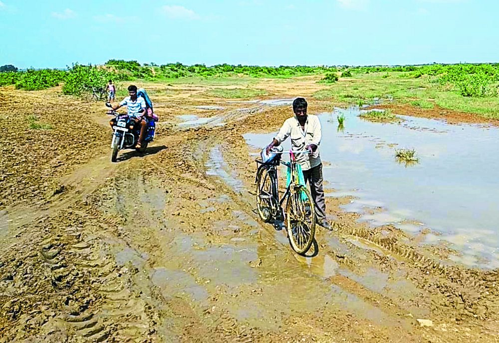 Madaiyan of Panna district could not become revenue village yet
