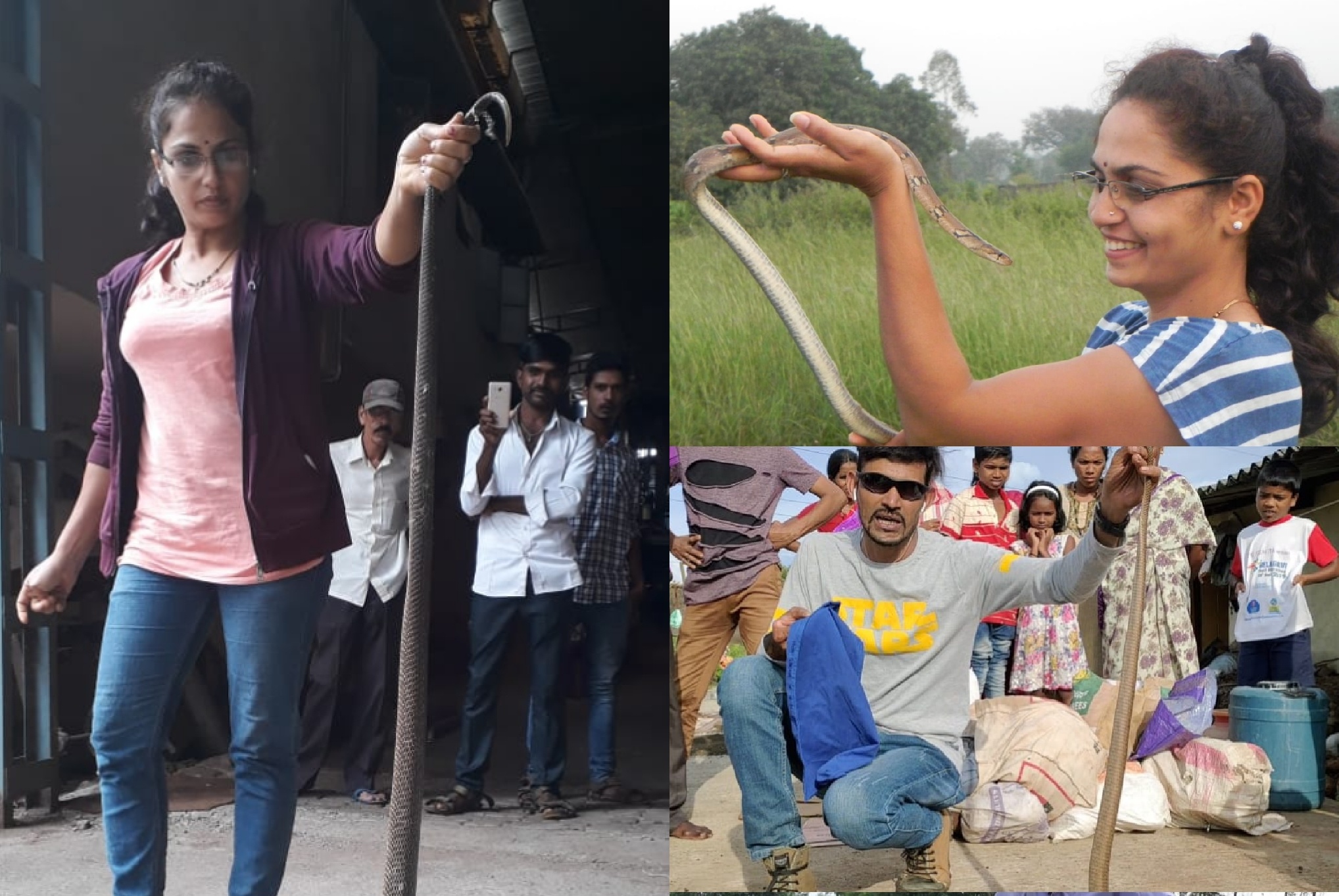 Karnataka Snake : दंपती ने 17 हजार सांपों को बचाकर भेजा उनके 'घर'