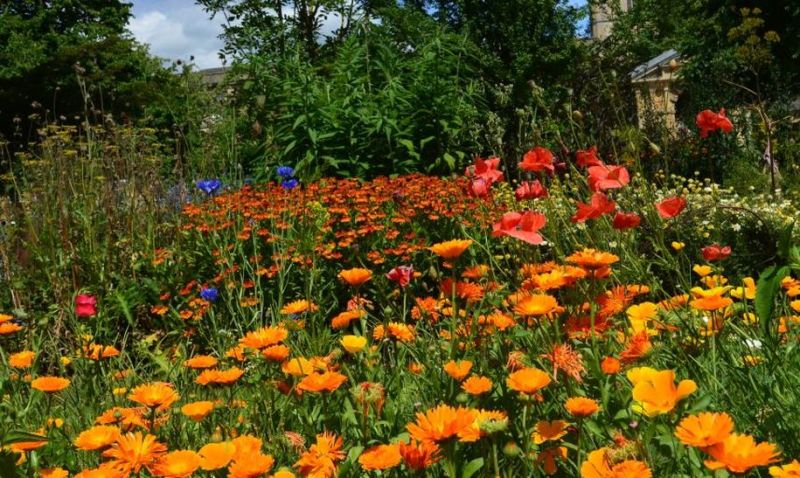 flower garden in ajmer